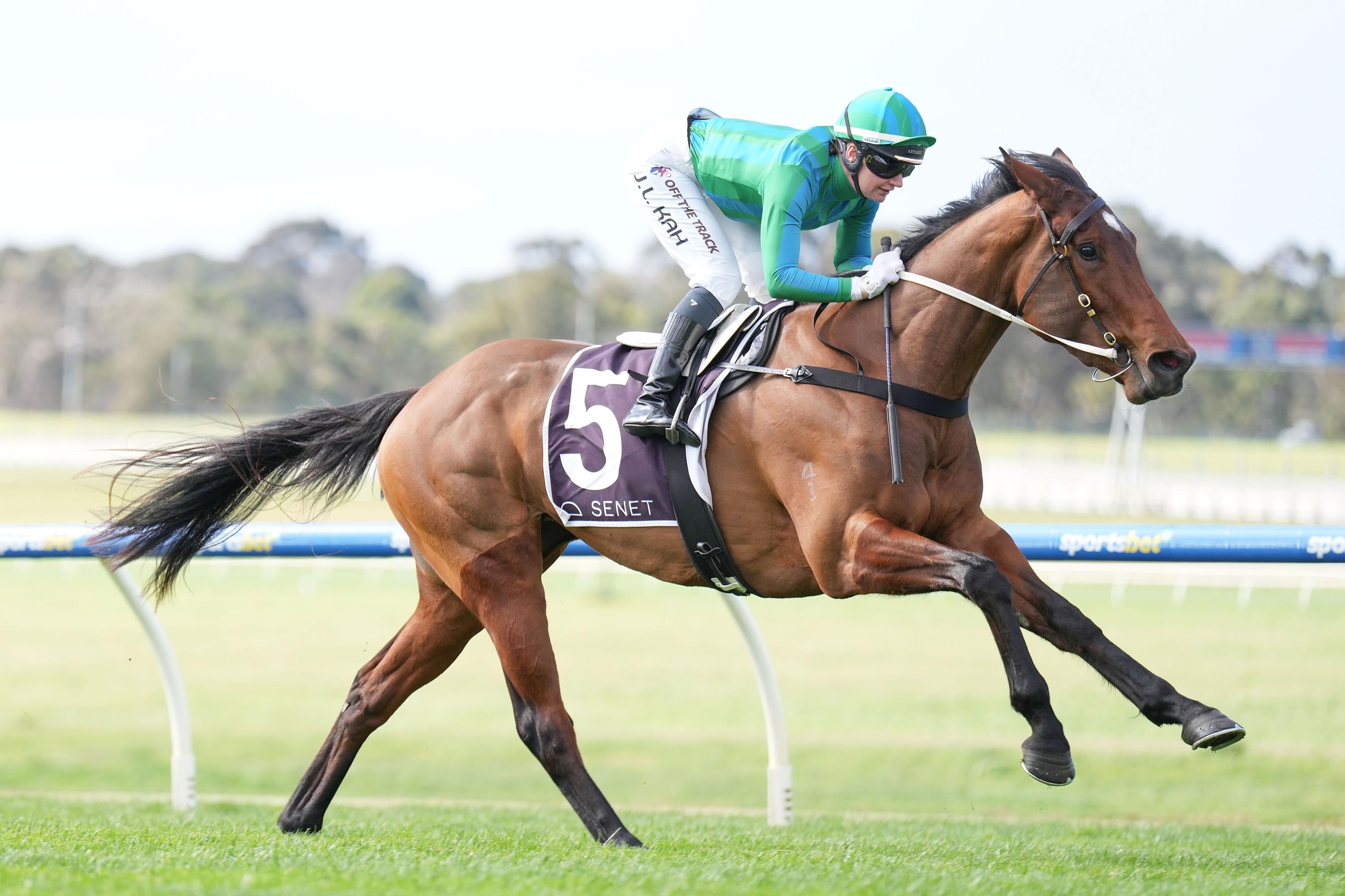 Toronado filly Hurricane Georgie breaks maiden tag