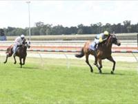 Nouvelle Again wins two maidens…