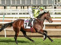 Ventura Storm, second to Winx in Turnbull Stakes Gr1