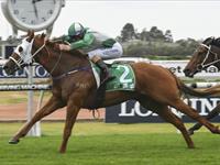 VOLPE wins again at Rosehill