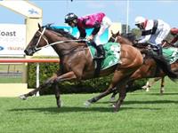 Prontissimo breaks her maiden in good style